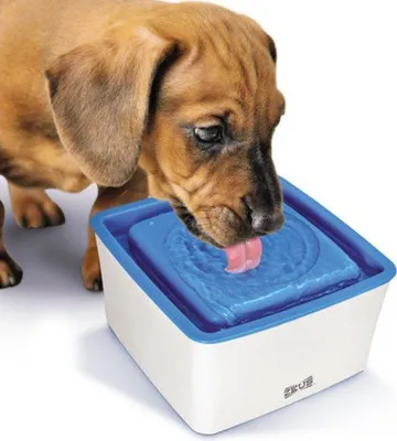 Produktbild von Zeus Mini-Trinkbrunnen für kleine Hunde