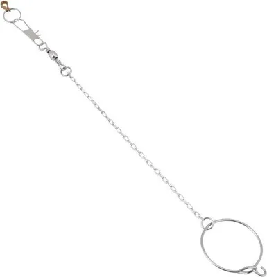 Produktbild von Edelstahl Einzelkettchen Vogelspielzeug silber 45mm