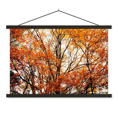 Produktbild von MuchoWow® Textilposter Wald - Herbst - Jahreszeiten 150x100 cm mit schwarzem Rahmen - Schlafzimmer