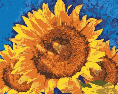 Produktbild von Zuty - Malen nach Zahlen - SONNENBLUMEN AUF BLAUEM HINTERGRUND, 40x50 cm, ohne Keilrahmen