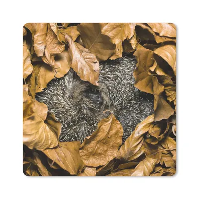 Produktbild von MuchoWow® Mauspad Mousepad Igel - Braun - Blätter 20x20 cm - Mousepads - Maus Mat - Pad - Mausunterlage - Desk Mat - Bureauartikeln