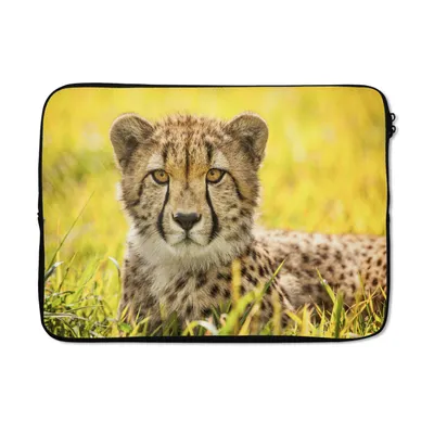 Produktbild von MuchoWow® Laptop Hülle 13 Zoll Leopard - Gras - Gepard Laptoptasche - Laptophülle - Sleeve - Rundumschutz