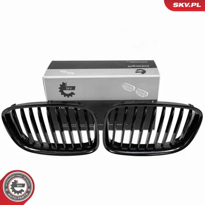 Produktbild von ESEN SKV 66SKV176 Kühlergrill Frontgrill für BMW 5 GT (F07) Schwarz Glänzend