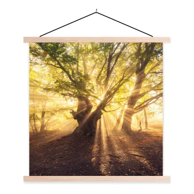 Produktbild von MuchoWow® Textilposter Baum - Wald - Sonne 40x40 cm mit holzfarbenen Rahmen - Posterleiste