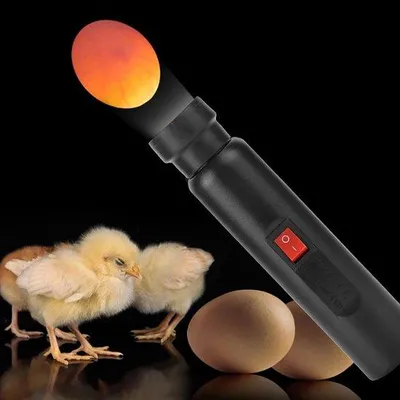Produktbild von Ei-Prüfer LED-Licht für Hühnereier und Vogeleier