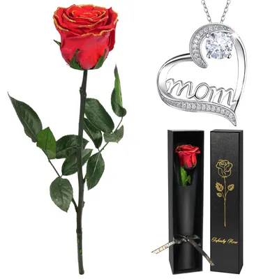 Ewige Rose mit Halskette, konservierte Rose, Geschenkbox für Muttertag