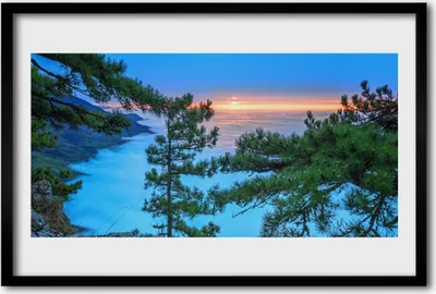 Produktbild von Bild 60x40 MDF-Rahmen Wandkunst Bäume Natur