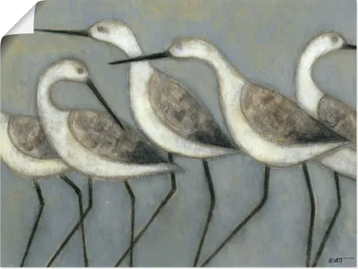 Produktbild von ARTland Poster Küstenvögel I Größe: 120x90 cm