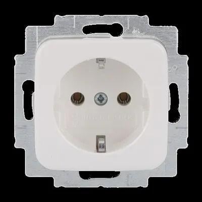 Image de BUSCH JAEGER : Prises électriques SCHUKO, lot de 100, référence EUC-214, emballage économique