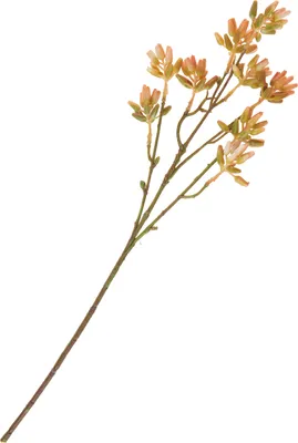 Produktbild von DPI Sukkulenten Zweig L 25 cm künstliche Pflanzen, Dekoration, Heimdekoration