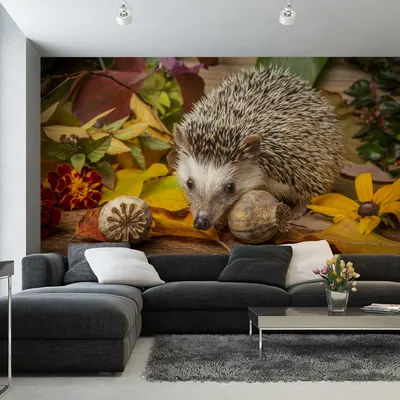 Produktbild von Muralo XXL Vlies FOTOTAPETE Igel Blaetter 3D Effekt Natur (B) 460 cm x (H) 300 cm Tapete Wandtapete WOHNZIMMER SCHLAFZIMMER 5156