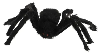 Produktbild von Solidchoice – Halloween-Kostüm für Hunde mit Spinnenbeinen