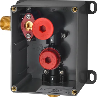 A close-up view of a plumbing valve body with red caps and brass fittings inside a dark gray mounting box.