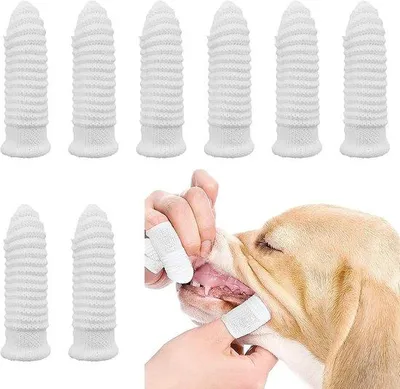 Produktbild von Famanu Hundezahnbürste Set von 8 Stück - mit Baumwollreinigungs-Handschuh, weiß gestreift, für optimale Zahnhygiene