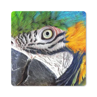 Produktbild von MuchoWow® Mauspad Mousepad Nahaufnahme eines bunten Papageis 20x20 cm - Mousepads - Maus Mat - Pad - Mausunterlage - Desk Mat - Bureauartikeln