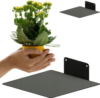 Hands holding a potted plant above a black shelf.