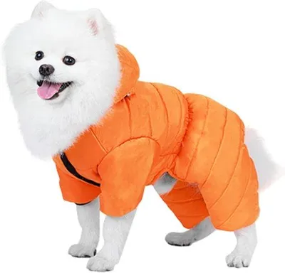Produktbild von Famanu Hundejacke - Winterjacke für Hunde - Warm und wasserdicht - Verstellbar - Orange