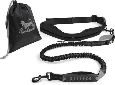 Produktbild von Famanu Handsfree-Hundeleine - Bungee-Leine mit Taillengurt für Spaziergänge und Joggen