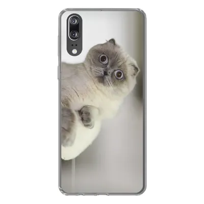 Produktbild von MuchoWow® Handyhülle Schutzhülle Hülle für Huawei P20 Katze - Tier - Wohnzimmer Silikon Softcase Handy Hülle - Hardcover