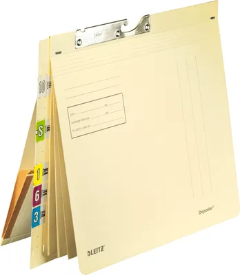 Image de Classeur à levier Leitz 21840011 OC multiple 320g chamois