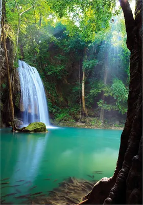 Produktbild von Wallario selbstklebendes Poster - Wasserfall im Wald am See  Idylle in Thailand, Größe: 70 x 100 cm