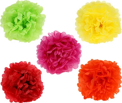 Produktbild von Pompom Papier Deko Ø30cm 5er Set Party Hochzeit Geburtstag, 5 Stück
