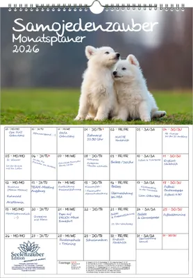 Produktbild von Samojedenzauber Planer DIN A3 Kalender für 2026 Welpen und Hunde - Seelenzauber