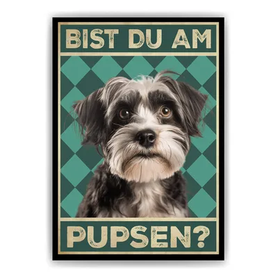 Produktbild von Havaneser - Bist du am Pupsen? Hunde Poster Badezimmer Gästebad Wandbild Klo Toilette Dekoration Lustiges Gäste-WC Bild DIN A4 – DIN A4 (21x29.7cm)