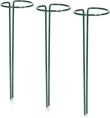 Produktbild von Famanu Blumenhalter Set - Universelle Pflanzenstütze, Höhe 35 cm, ideal für Blumen und Kletterpflanzen