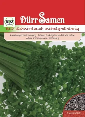 Produktbild von Schnittlauch mittelgrobröhrig | -Schnittlauchsamen von Dürr Samen