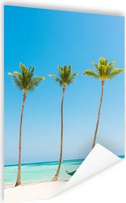 Produktbild von MuchoWow® Poster Karibischer Strand 3 Palmen 120x180 cm - Kunstposter