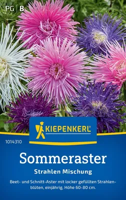 Produktbild von Kiepenkerl Sommerastersamen Strahlen 70 Pflanzen