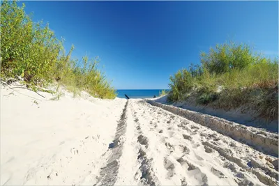 Produktbild von Wallario Poster - Auf dem Sandweg zum Strand - Blauer Himmel über dem Meer, Kunstdruck Größe: 61 x 91,50 cm