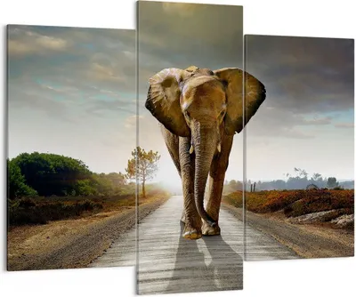 Produktbild von Bild auf Leinwand - Leinwandbild - Elefant Straße Landschaft - 130x100cm - Wand Bild - Wanddeko - Leinwanddruck - Bilder - Kunstdruck - Wanddekoration - Leinwand bilder - Wandkunst - CB130x100-0214