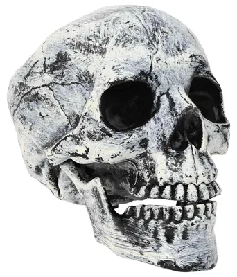 Produktbild von vidaXL Halloween-Totenkopf SPOOKA 2 stk. Weiß 12 x 15 x 17,5 cm