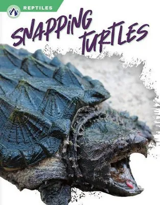 Zdjęcie produktu dla Snapping Turtles
