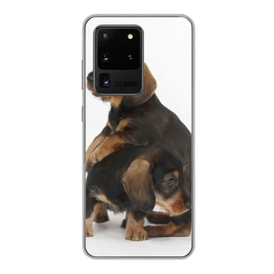 Produktbild von MuchoWow® Handyhülle Schutzhülle Hülle für Samsung Galaxy S20 Ultra Studiofoto von zwei süßen Dackeln Silikon Softcase Handy Hülle - Karteninhaber