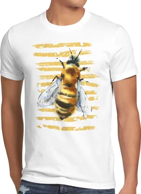 Produktbild von style3 Biene Herren T-Shirt urlaub bauernhof honig imker