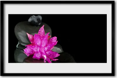 Produktbild von Bild 60x40 MDF-Rahmen Wandkunst Blumen-Schwarz-Steine