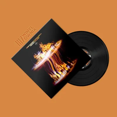 Produktbild von ++ IRREVERSIBLE ENTANGLEMENTS – "Protect Your Light" LP