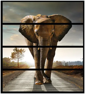 Produktbild von Wallario Möbelfolie / Aufkleber, geeignet für Ikea Malm Kommode mit 4 Schubfächern - Elefant bei Sonnenaufgang in Afrika