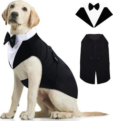 Produktbild von Kuoser Hund Smoking Anzug & Bandana Set, Haustier Fomal Kleidung Hunde Mantel mit Abnehmbarer Fliege, Hundeanzug Welpe Kostüm Shirt für Hochzeit Halloween Geburtstag Party, S-XXL
