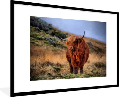 Produktbild von MuchoWow® MuchoWow® Gerahmtes Poster Schottische Hochlandrind - Gras - Steine 90x60 cm - Poster mit zchwarzem Bilderrahmen - Wanddekoration - Fotos