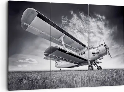 Produktbild von Bild auf Leinwand - Leinwandbild - 3 Teile - Flugzeug An-2 Schwarzweiß - 165x110cm - Wand Bild - Wanddeko - Wandbilder - Leinwanddruck - Bilder - Wanddekoration - Leinwand bilder - CE165x110-4363