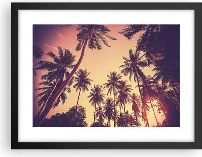 Produktbild von Gerahmtes Poster - Schwarzer Rahmen - Palmen Himmel Sonne - 40x30 cm - Wand Bild - Wanddeko - Wandbilder - Kunstposter - Wandposter - Bilderrahmen - Bilder - Kunstdruck - Wandbild - P2BAA40x30-4220