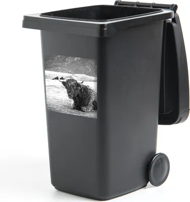 Produktbild von MuchoWow® Mülltonnenaufkleber Schottischer Highlander - Berg - Tiere 40x40 cm - Abfall-Aufkleber - Container - für Abfallcontainer
