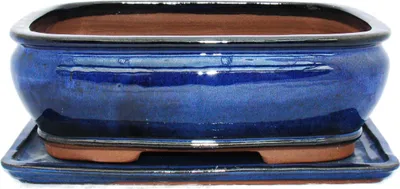 Immagine prodotto di Ciotola bonsai con piattino Gr. 4 - blu - quadrato - modello G81 - L 25cm - P 21cm - H 9,5cm