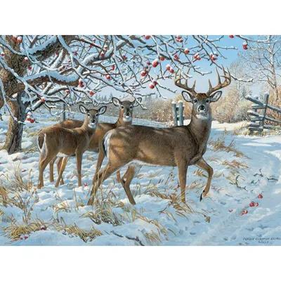 Zdjęcie produktu dla COBBLE HILL Puzzle Jeleń zimą 500 elementów