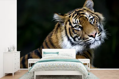 Produktbild von MuchoWow® Fototapete für Wohnzimmer oder Schlafzimmer Wandtapete Vinyl Motivtapete Tiger - Porträt - Schwarz - 330x220 cm - Fototapeten
