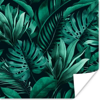 Produktbild von MuchoWow® Poster Dschungel - Pflanzen - Blatt - Junge - Mädchen - Kind 75x75 cm - Wand Dekoration